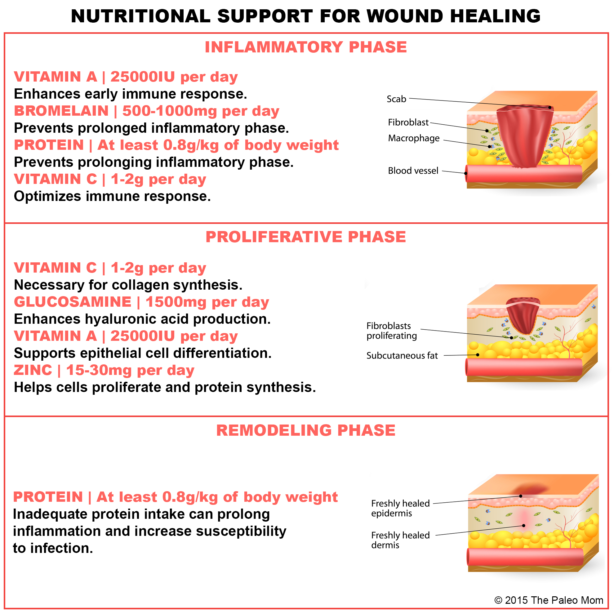 dietary protein intake promotes wound healing