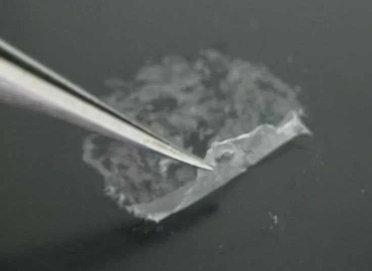The nanosheets act like Saran Wrap for wounds.
