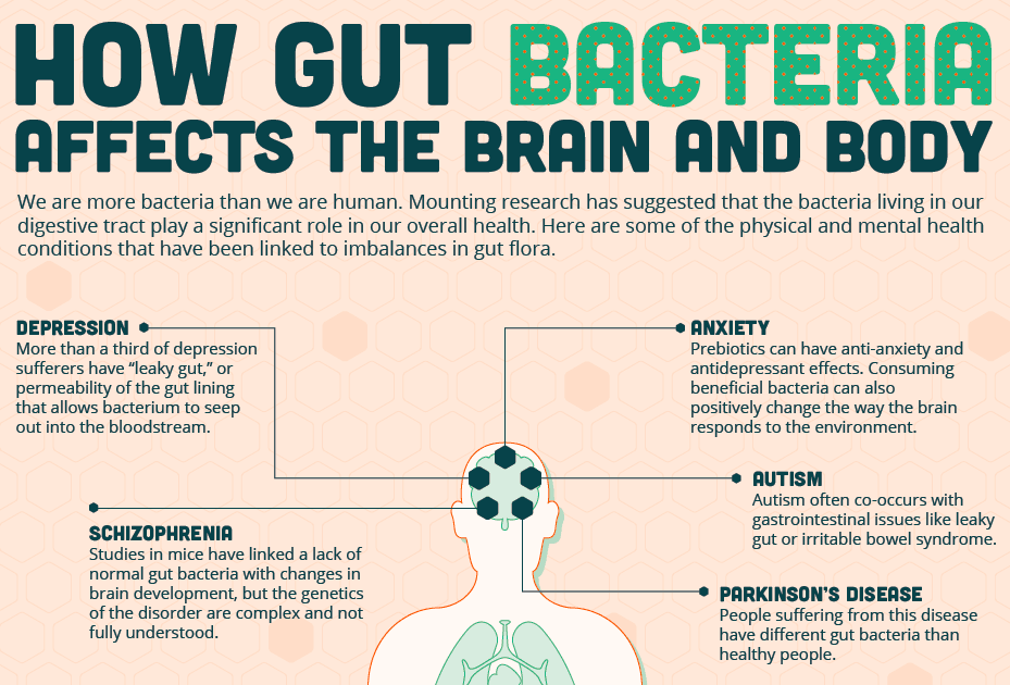 Gut Flora for Future Treatments of Autoimmune Diseases